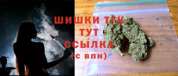 гашик Гусев