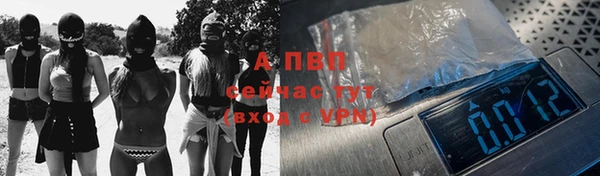 гашик Гусев