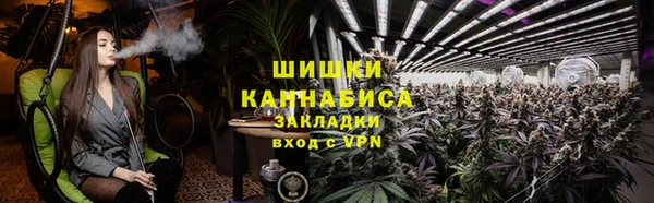 гашик Гусев