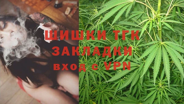 гашик Гусев