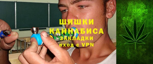молекула духа Горно-Алтайск