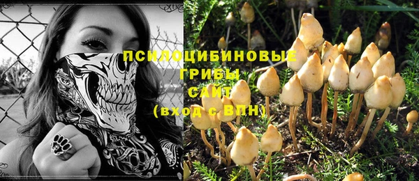 COCAINE Гусиноозёрск