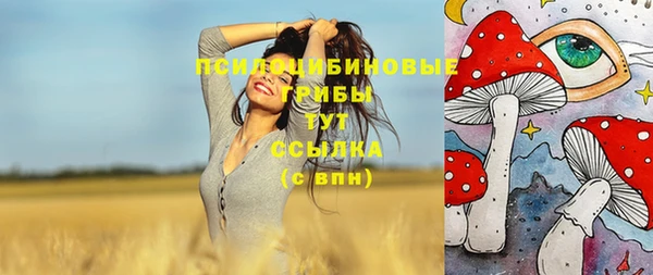 марки nbome Гусь-Хрустальный